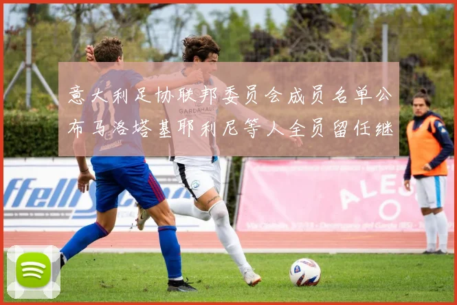 意大利足协联邦委员会成员名单公布马洛塔基耶利尼等人全员留任继续服务
